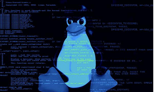Linux penguin code