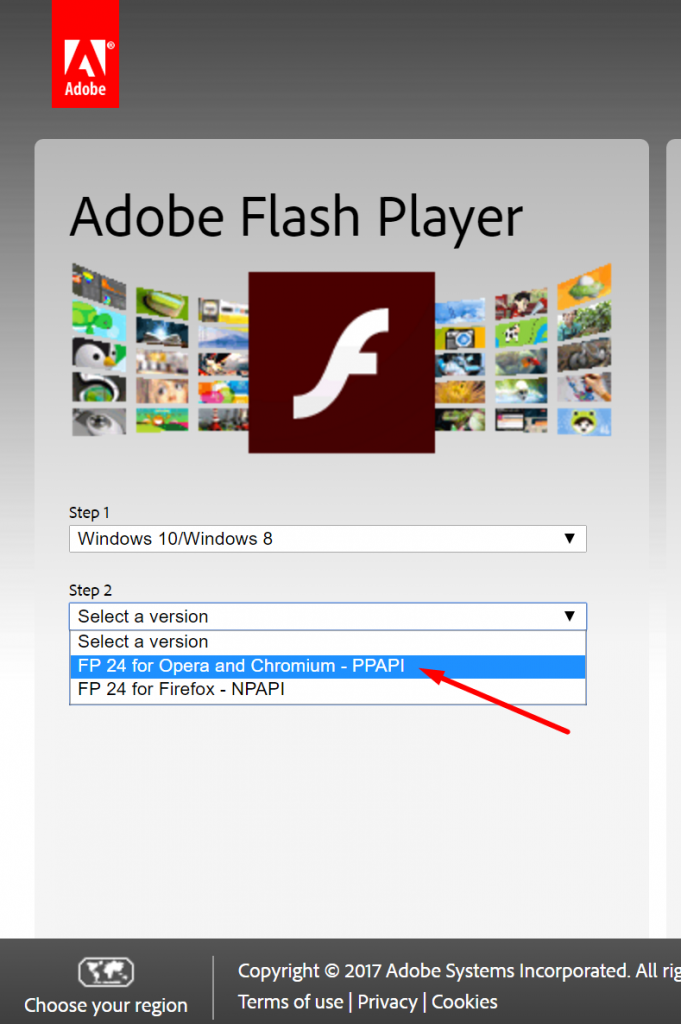 fast web browser with flash player installed
