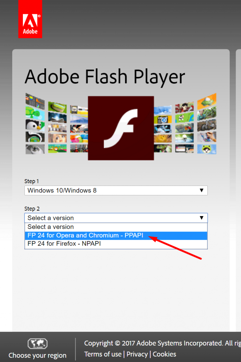 download browser with flash player