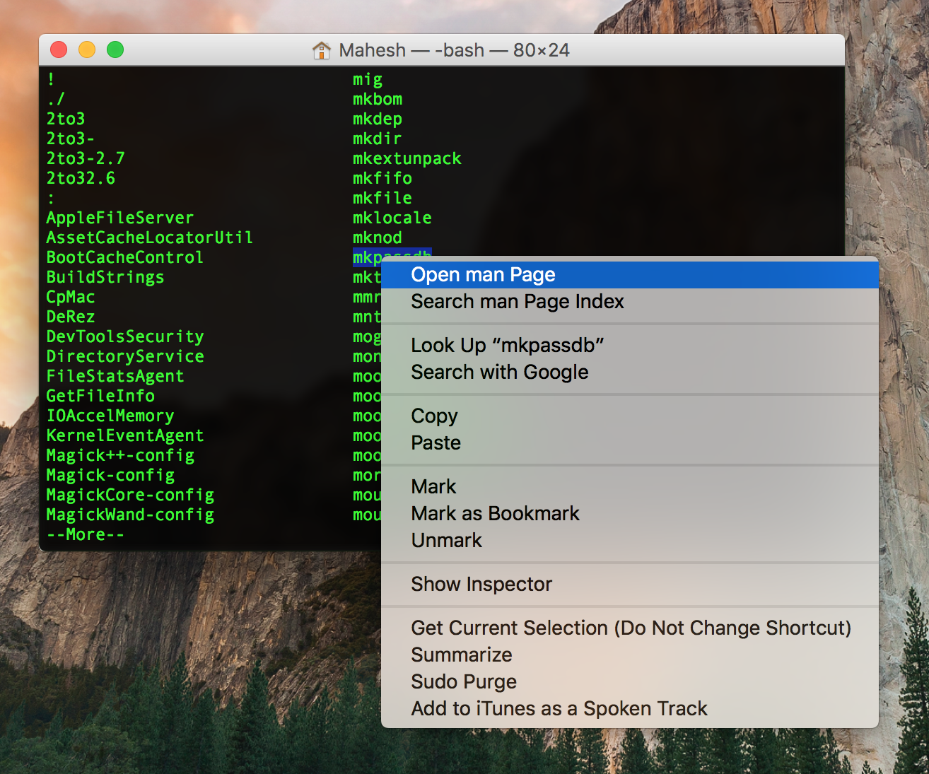 run mac console commands