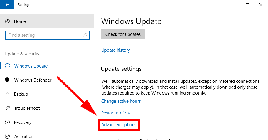 Windows Update advanced options