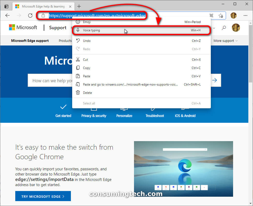 Voice typing from the Context menu in Microsoft Edge address bar 