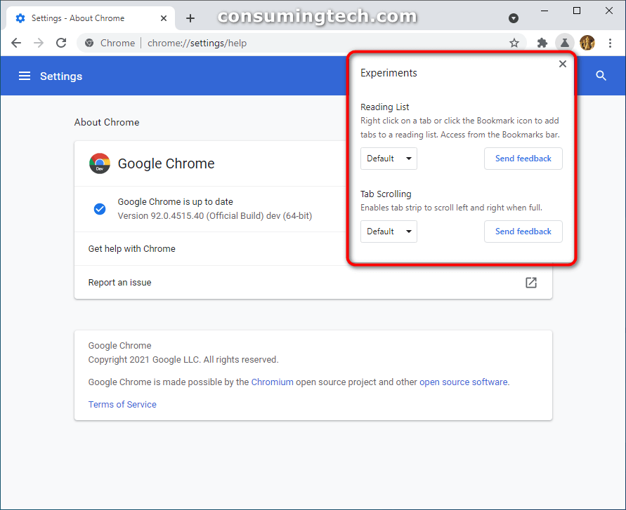 Chrome Developer Channel Featured Experiment Icon