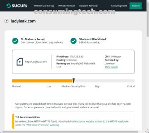 LadyLeak.com Sucuri results