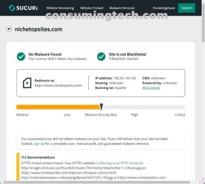 NicheTopSites.com Sucuri results