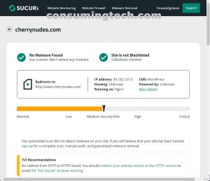 cherrynudes.com Sucuri results