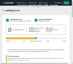 saddlegirls.com Sucuri results