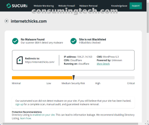 internetchicks.com Sucuri results