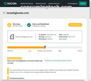 lanasbigboobs.com Sucuri results