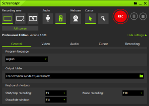 Screencapt Professional interface