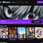 9animes